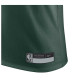 Nike Ανδρική κοντομάνικη μπλούζα Milwaukee Bucks NBA Legend Dri-FIT Tee